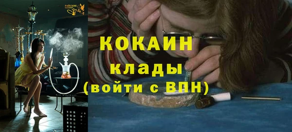 прущие грибы Богородск