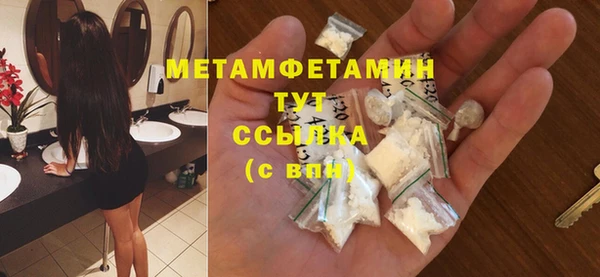 прущие грибы Богородск