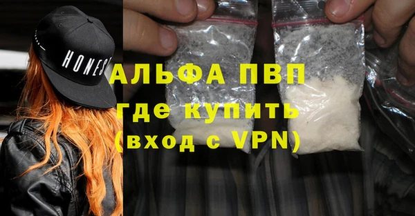 прущие грибы Богородск