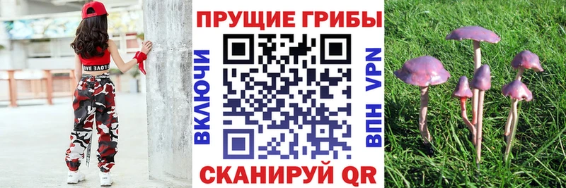 Купить закладки  Невельск  Галлюциногенные грибы Magic Shrooms 
